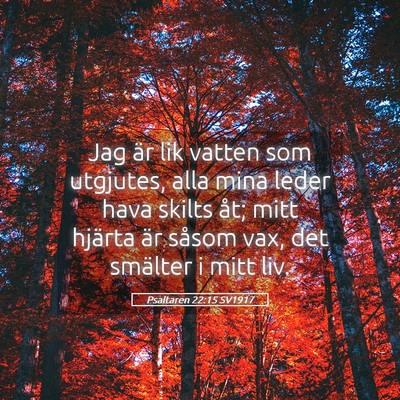 Picture 05 - Psaltaren 22:15 SV1917 - Jag är lik vatten som utgjutes, alla mina leder - Bible Verse Picture