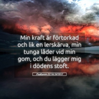 Picture 05 - Psaltaren 22:16 SV1917 - Min kraft är förtorkad och lik en lerskärva, - Bible Verse Picture