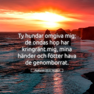Picture 05 - Psaltaren 22:17 SV1917 - Ty hundar omgiva mig; de ondas hop har kringränt - Bible Verse Picture