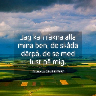 Picture 05 - Psaltaren 22:18 SV1917 - Jag kan räkna alla mina ben; de skåda därpå, - Bible Verse Picture