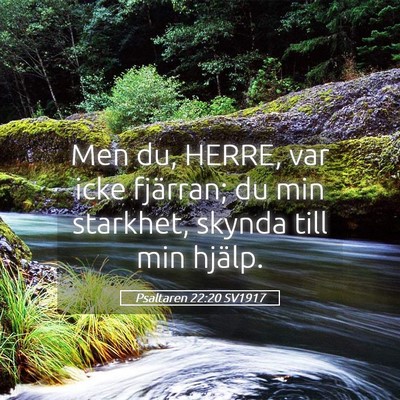 Picture 05 - Psaltaren 22:20 SV1917 - Men du, HERRE, var icke fjärran; du min - Bible Verse Picture