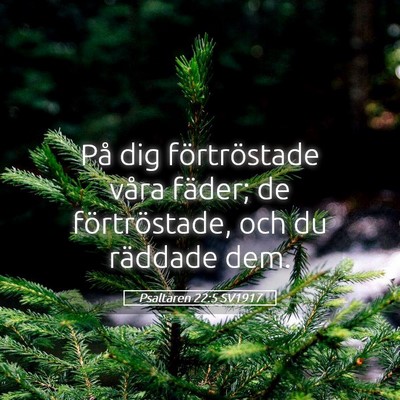 Picture 05 - Psaltaren 22:5 SV1917 - På dig förtröstade våra fäder; de - Bible Verse Picture
