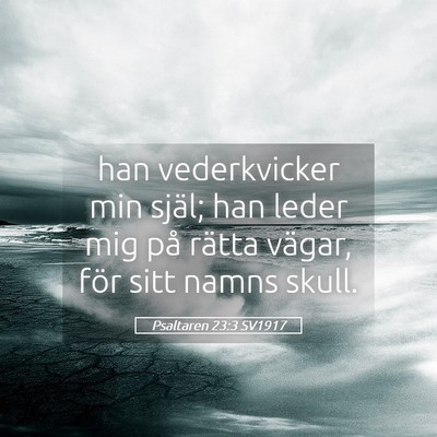 Picture 05 - Psaltaren 23:3 SV1917 - han vederkvicker min själ; han leder mig på - Bible Verse Picture