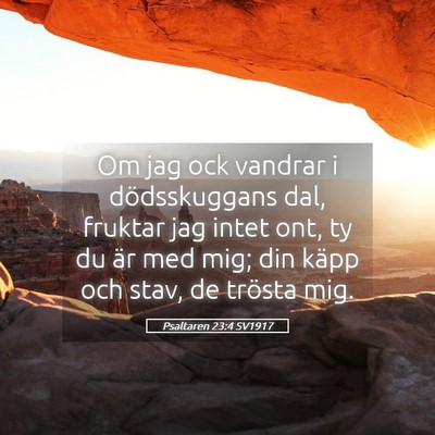 Picture 05 - Psaltaren 23:4 SV1917 - Om jag ock vandrar i dödsskuggans dal, fruktar - Bible Verse Picture