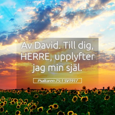 Picture 05 - Psaltaren 25:1 SV1917 - Av David. Till dig, HERRE, upplyfter jag min - Bible Verse Picture
