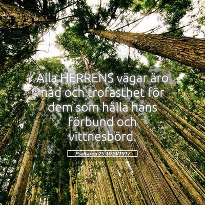 Picture 05 - Psaltaren 25:10 SV1917 - Alla HERRENS vägar äro nåd och trofasthet för - Bible Verse Picture
