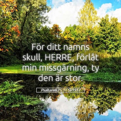 Picture 05 - Psaltaren 25:11 SV1917 - För ditt namns skull, HERRE, förlåt min - Bible Verse Picture