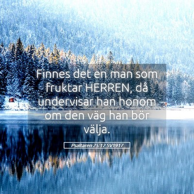 Picture 05 - Psaltaren 25:12 SV1917 - Finnes det en man som fruktar HERREN, då - Bible Verse Picture