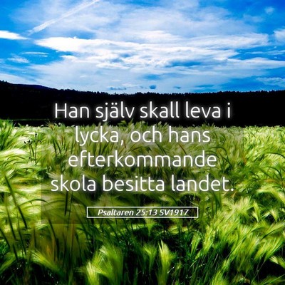 Picture 05 - Psaltaren 25:13 SV1917 - Han själv skall leva i lycka, och hans - Bible Verse Picture