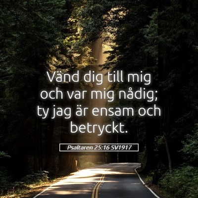 Picture 05 - Psaltaren 25:16 SV1917 - Vänd dig till mig och var mig nådig; ty jag är - Bible Verse Picture