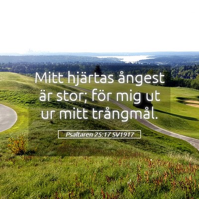 Picture 05 - Psaltaren 25:17 SV1917 - Mitt hjärtas ångest är stor; för mig ut ur - Bible Verse Picture