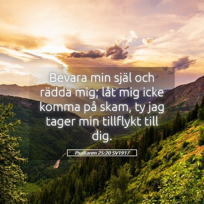 Picture 05 - Psaltaren 25:20 SV1917 - Bevara min själ och rädda mig; låt mig icke - Bible Verse Picture