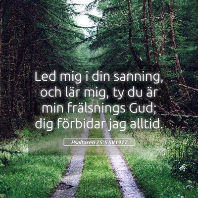 Picture 05 - Psaltaren 25:5 SV1917 - Led mig i din sanning, och lär mig, ty du är - Bible Verse Picture