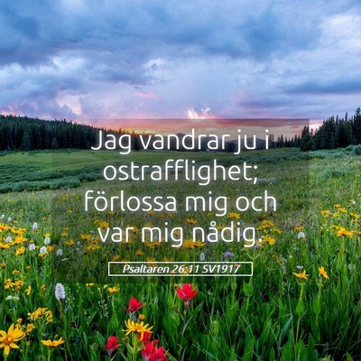 Picture 05 - Psaltaren 26:11 SV1917 - Jag vandrar ju i ostrafflighet; förlossa mig och - Bible Verse Picture