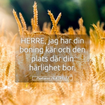 Picture 05 - Psaltaren 26:8 SV1917 - HERRE, jag har din boning kär och den plats där - Bible Verse Picture