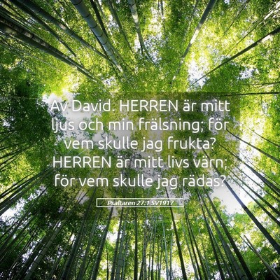 Picture 05 - Psaltaren 27:1 SV1917 - Av David. HERREN är mitt ljus och min - Bible Verse Picture