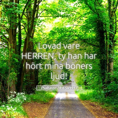 Picture 05 - Psaltaren 28:6 SV1917 - Lovad vare HERREN, ty han har hört mina böners - Bible Verse Picture
