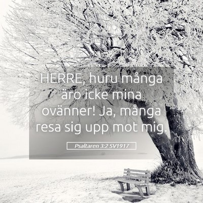 Picture 05 - Psaltaren 3:2 SV1917 - HERRE, huru många äro icke mina ovänner! Ja, - Bible Verse Picture
