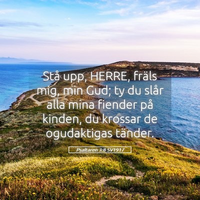 Picture 05 - Psaltaren 3:8 SV1917 - Stå upp, HERRE, fräls mig, min Gud; ty du slår - Bible Verse Picture