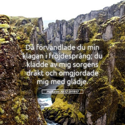 Picture 05 - Psaltaren 30:12 SV1917 - Då förvandlade du min klagan i fröjdesprång; - Bible Verse Picture