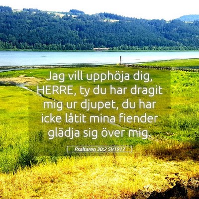 Picture 05 - Psaltaren 30:2 SV1917 - Jag vill upphöja dig, HERRE, ty du har dragit - Bible Verse Picture