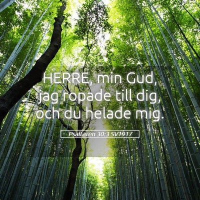 Picture 05 - Psaltaren 30:3 SV1917 - HERRE, min Gud, jag ropade till dig, och du - Bible Verse Picture