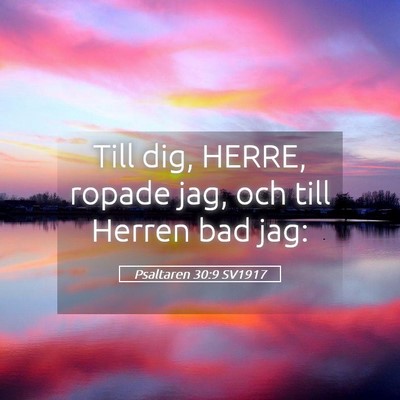 Picture 05 - Psaltaren 30:9 SV1917 - Till dig, HERRE, ropade jag, och till Herren bad - Bible Verse Picture