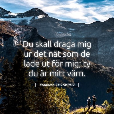 Picture 05 - Psaltaren 31:5 SV1917 - Du skall draga mig ur det nät som de lade ut - Bible Verse Picture