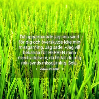 Picture 05 - Psaltaren 32:5 SV1917 - Då uppenbarade jag min synd för dig och - Bible Verse Picture