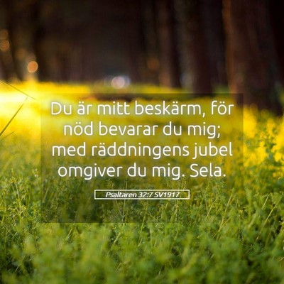 Picture 05 - Psaltaren 32:7 SV1917 - Du är mitt beskärm, för nöd bevarar du mig; - Bible Verse Picture