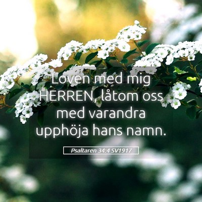 Picture 05 - Psaltaren 34:4 SV1917 - Loven med mig HERREN, låtom oss med varandra - Bible Verse Picture