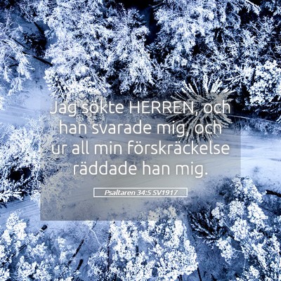 Picture 05 - Psaltaren 34:5 SV1917 - Jag sökte HERREN, och han svarade mig, och ur - Bible Verse Picture