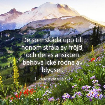 Picture 05 - Psaltaren 34:6 SV1917 - De som skåda upp till honom stråla av fröjd, - Bible Verse Picture