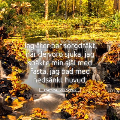 Picture 05 - Psaltaren 35:13 SV1917 - Jag åter bar sorgdräkt, när de voro sjuka, jag - Bible Verse Picture