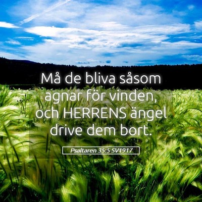 Picture 05 - Psaltaren 35:5 SV1917 - Må de bliva såsom agnar för vinden, och - Bible Verse Picture