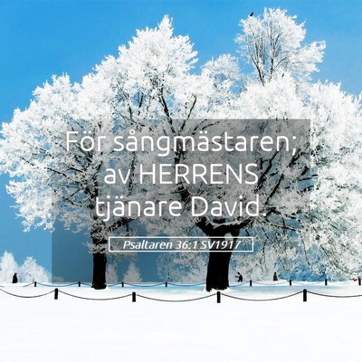Picture 05 - Psaltaren 36:1 SV1917 - För sångmästaren; av HERRENS tjänare - Bible Verse Picture