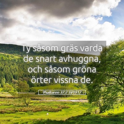 Picture 05 - Psaltaren 37:2 SV1917 - Ty såsom gräs varda de snart avhuggna, och - Bible Verse Picture