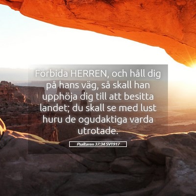 Picture 05 - Psaltaren 37:34 SV1917 - Förbida HERREN, och håll dig på hans väg, så - Bible Verse Picture