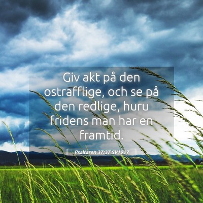 Picture 05 - Psaltaren 37:37 SV1917 - Giv akt på den ostrafflige, och se på den - Bible Verse Picture