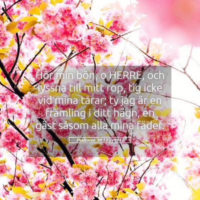 Picture 05 - Psaltaren 39:13 SV1917 - Hör min bön, o HERRE, och lyssna till mitt rop, - Bible Verse Picture
