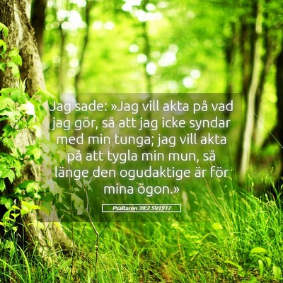 Picture 05 - Psaltaren 39:2 SV1917 - Jag sade: »Jag vill akta på vad jag gör, så - Bible Verse Picture