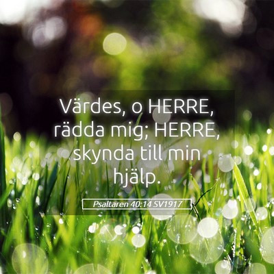 Picture 05 - Psaltaren 40:14 SV1917 - Värdes, o HERRE, rädda mig; HERRE, skynda till - Bible Verse Picture