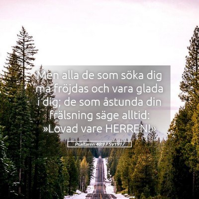 Picture 05 - Psaltaren 40:17 SV1917 - Men alla de som söka dig må fröjdas och vara - Bible Verse Picture