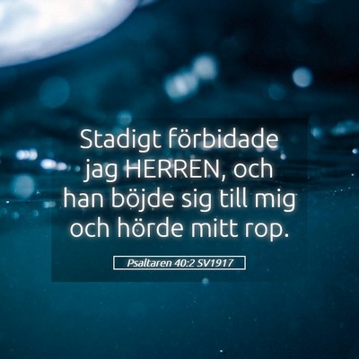 Picture 05 - Psaltaren 40:2 SV1917 - Stadigt förbidade jag HERREN, och han böjde sig - Bible Verse Picture