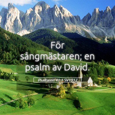 Picture 05 - Psaltaren 41:1 SV1917 - För sångmästaren; en psalm av - Bible Verse Picture