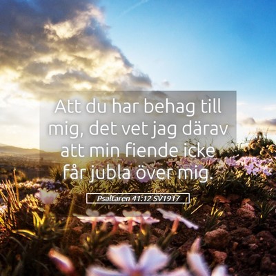 Picture 05 - Psaltaren 41:12 SV1917 - Att du har behag till mig, det vet jag därav att - Bible Verse Picture