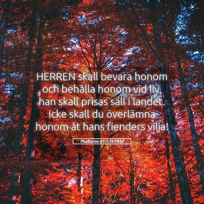 Picture 05 - Psaltaren 41:3 SV1917 - HERREN skall bevara honom och behålla honom vid - Bible Verse Picture