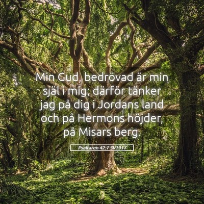 Picture 05 - Psaltaren 42:7 SV1917 - Min Gud, bedrövad är min själ i mig; därför - Bible Verse Picture