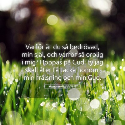 Picture 05 - Psaltaren 43:5 SV1917 - Varför är du så bedrövad, min själ, och - Bible Verse Picture