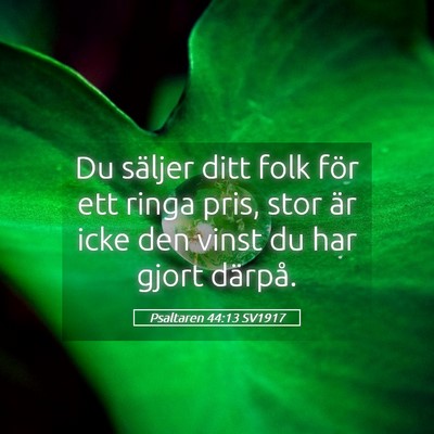 Picture 05 - Psaltaren 44:13 SV1917 - Du säljer ditt folk för ett ringa pris, stor - Bible Verse Picture